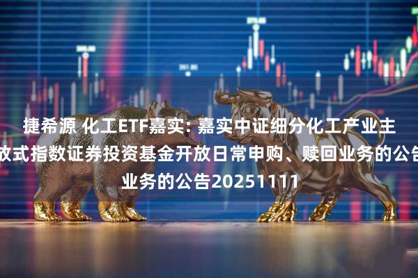 捷希源 化工ETF嘉实: 嘉实中证细分化工产业主题交易型开放式指数证券投资基金开放日常申购、赎回业务的公告20251111