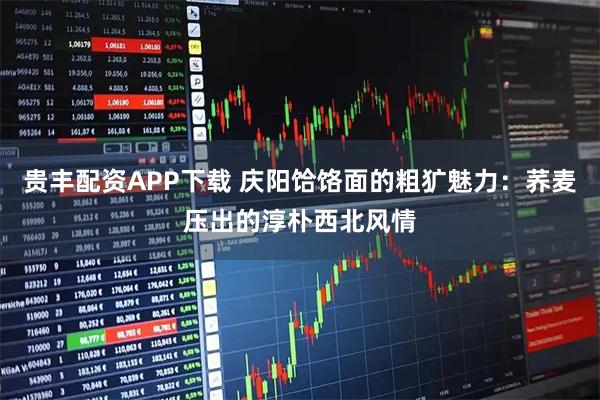 贵丰配资APP下载 庆阳饸饹面的粗犷魅力：荞麦压出的淳朴西北风情
